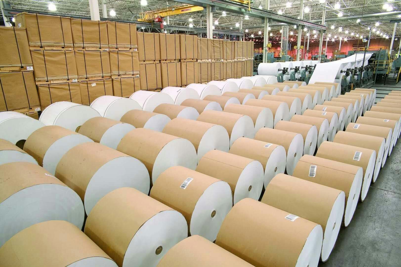 2025年5月5日-5月11日一周紙業(yè)市場詳情回顧